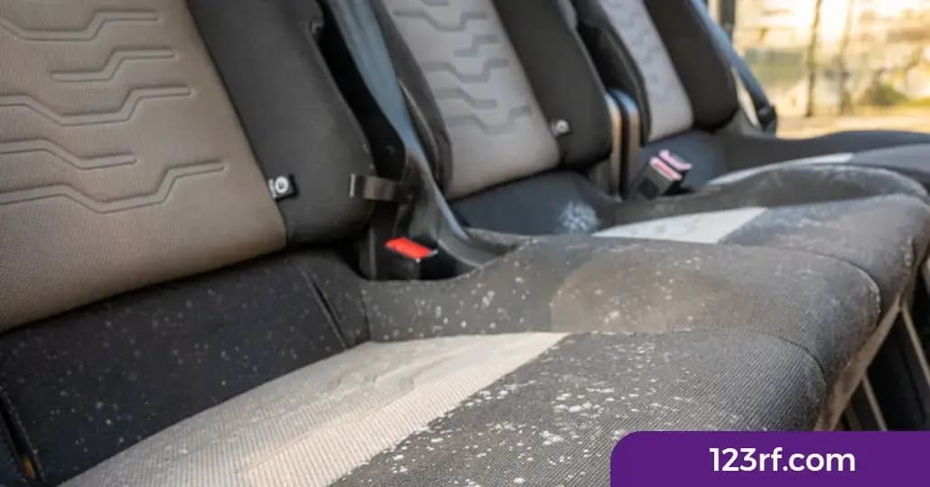 4 Cara Membersihkan Jok Mobil Berjamur Sesuai Material, Mudah!